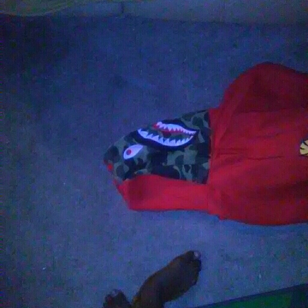 Bape jacket